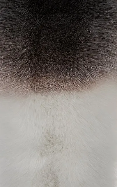 Arabella Silver Fox Fur Scarf Anthracite Multi