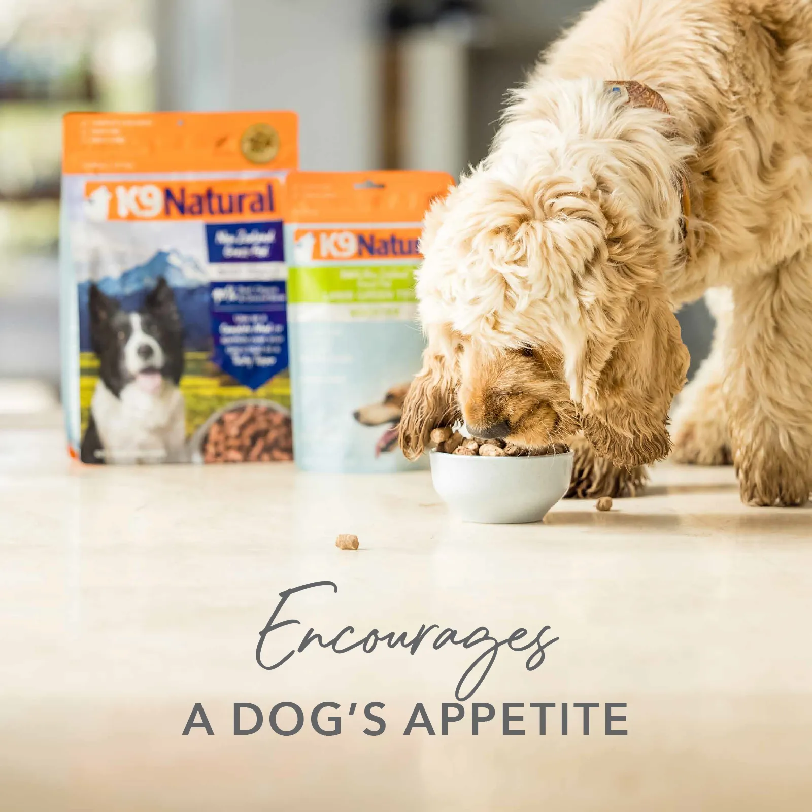 K9 Natural Grain Free Freeze Dried Dog Food Supplement Booster Beef Green Tripe
