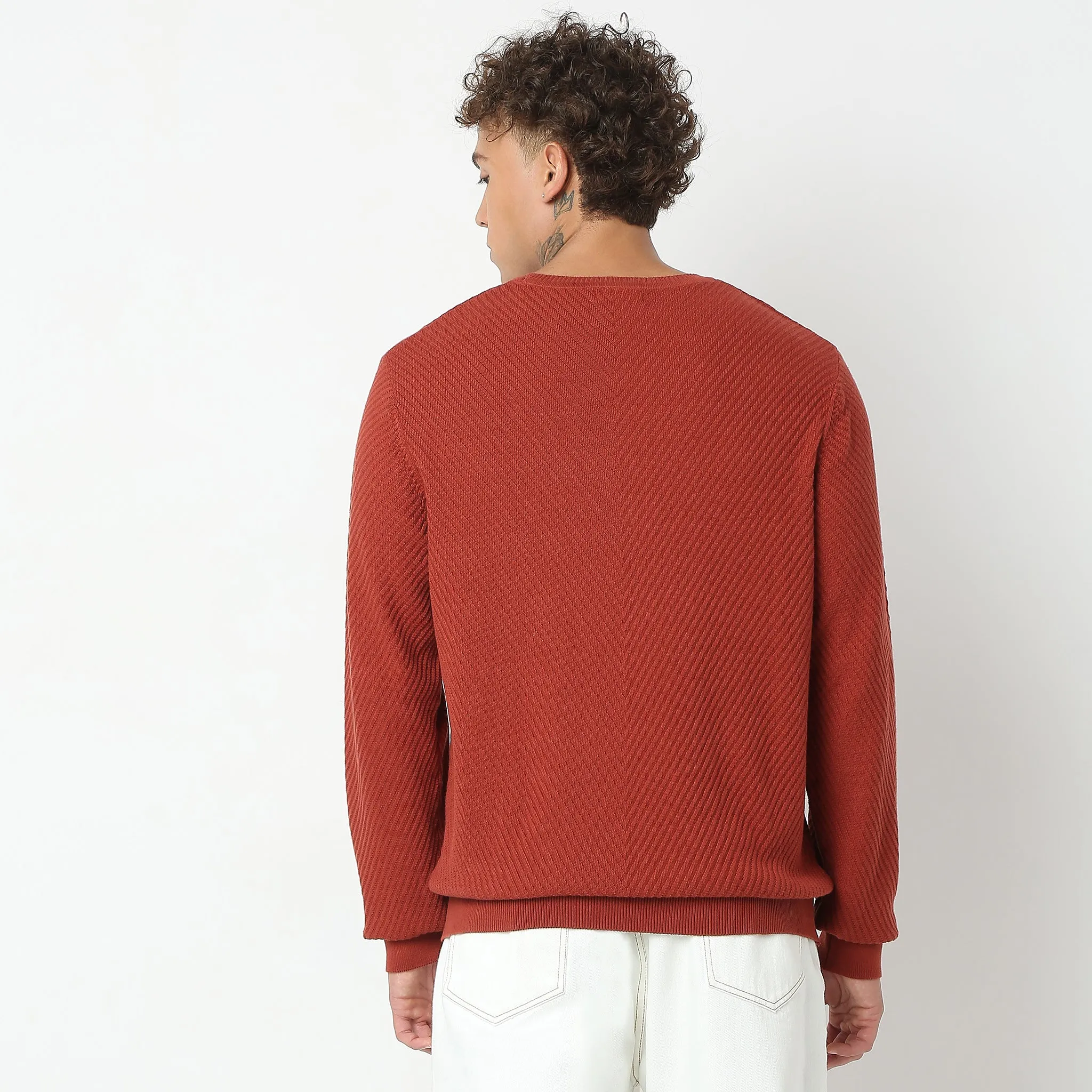 Regular Fit Structured Flat Knit Sweater