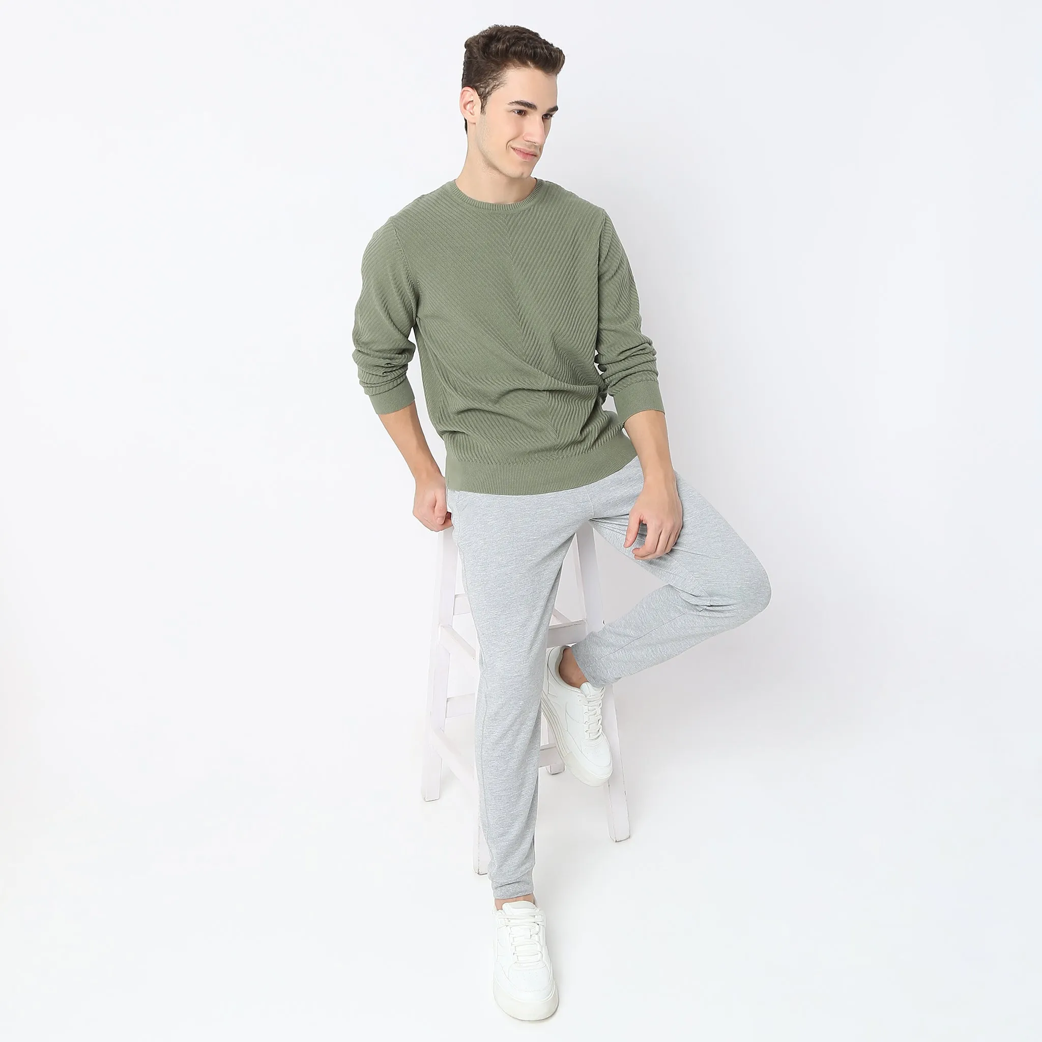 Regular Fit Structured Flat Knit Sweater