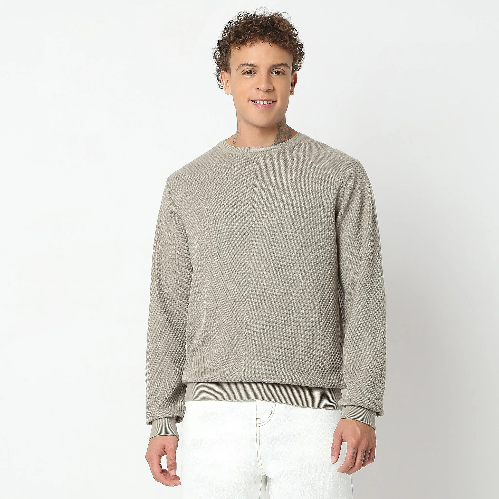Regular Fit Structured Flat Knit Sweater