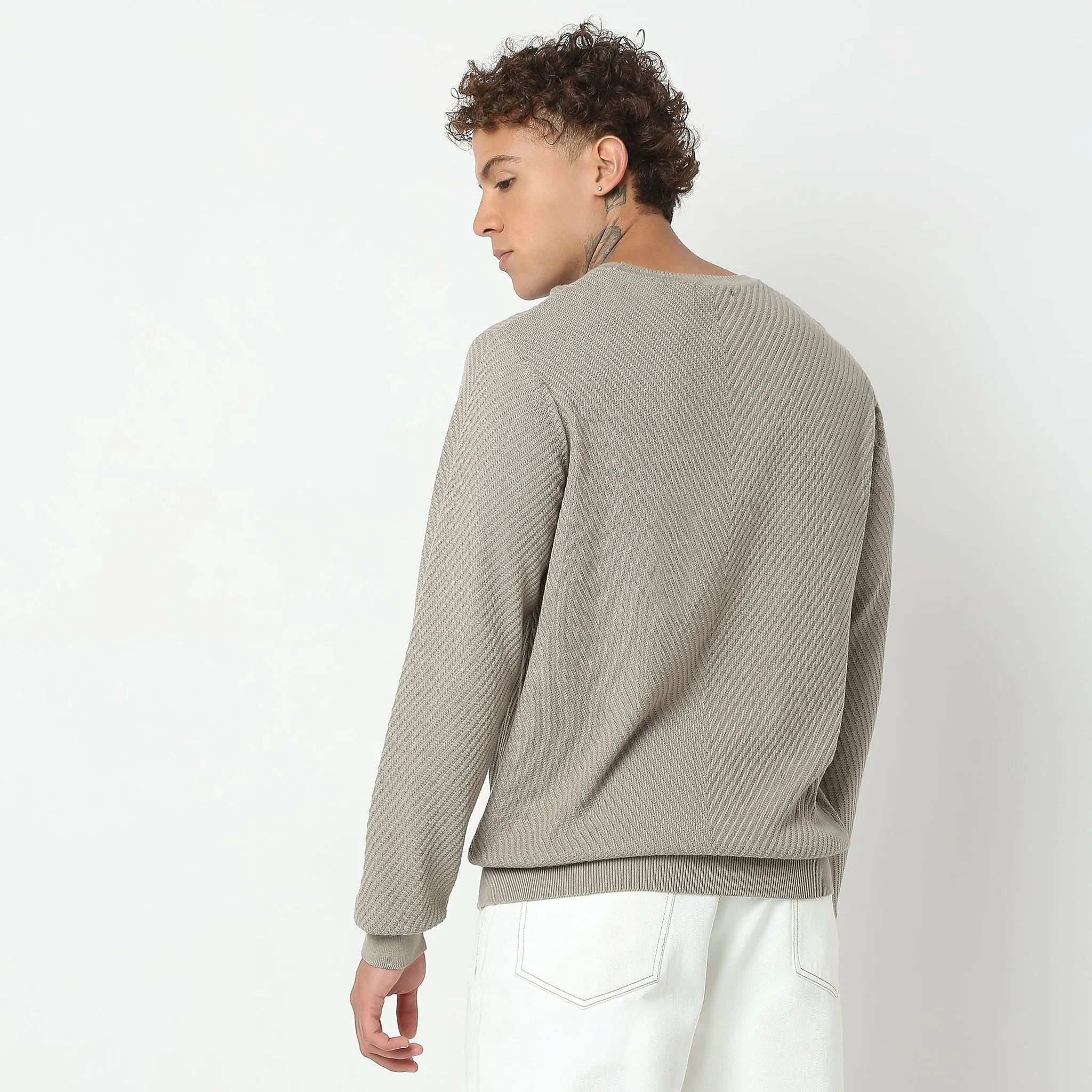 Regular Fit Structured Flat Knit Sweater