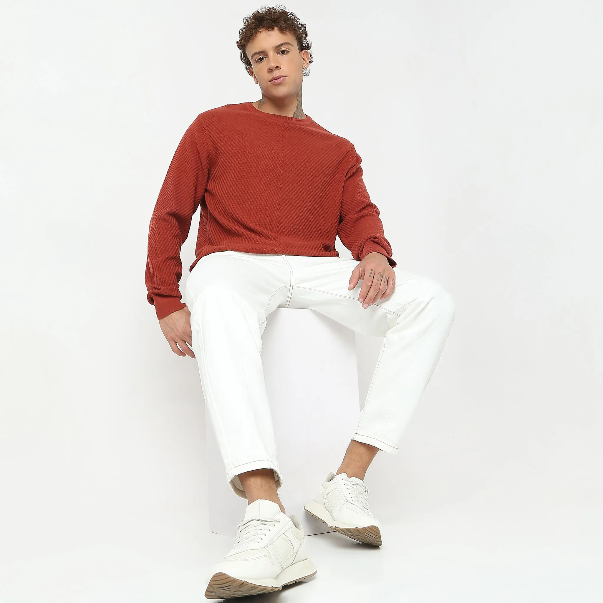 Regular Fit Structured Flat Knit Sweater