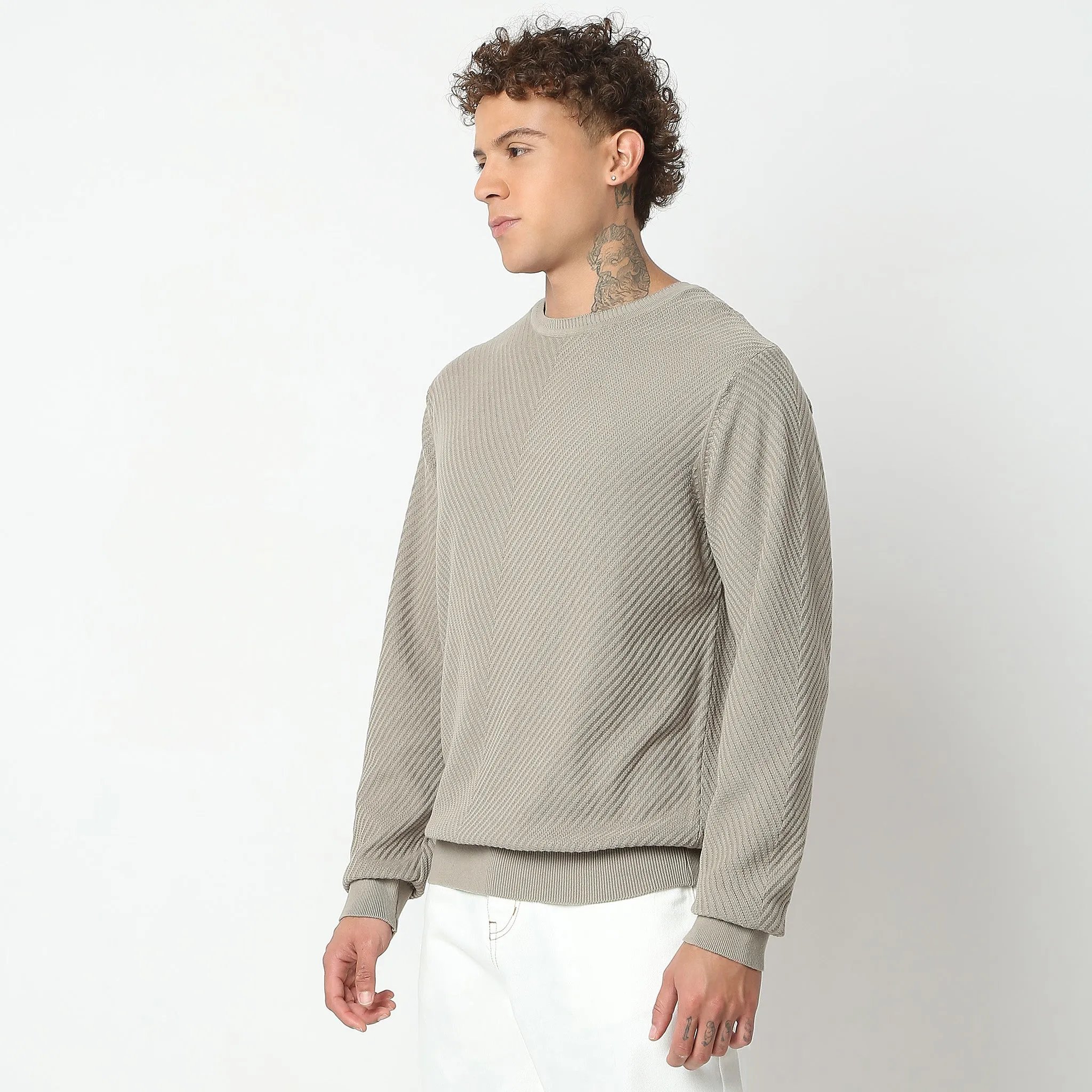 Regular Fit Structured Flat Knit Sweater