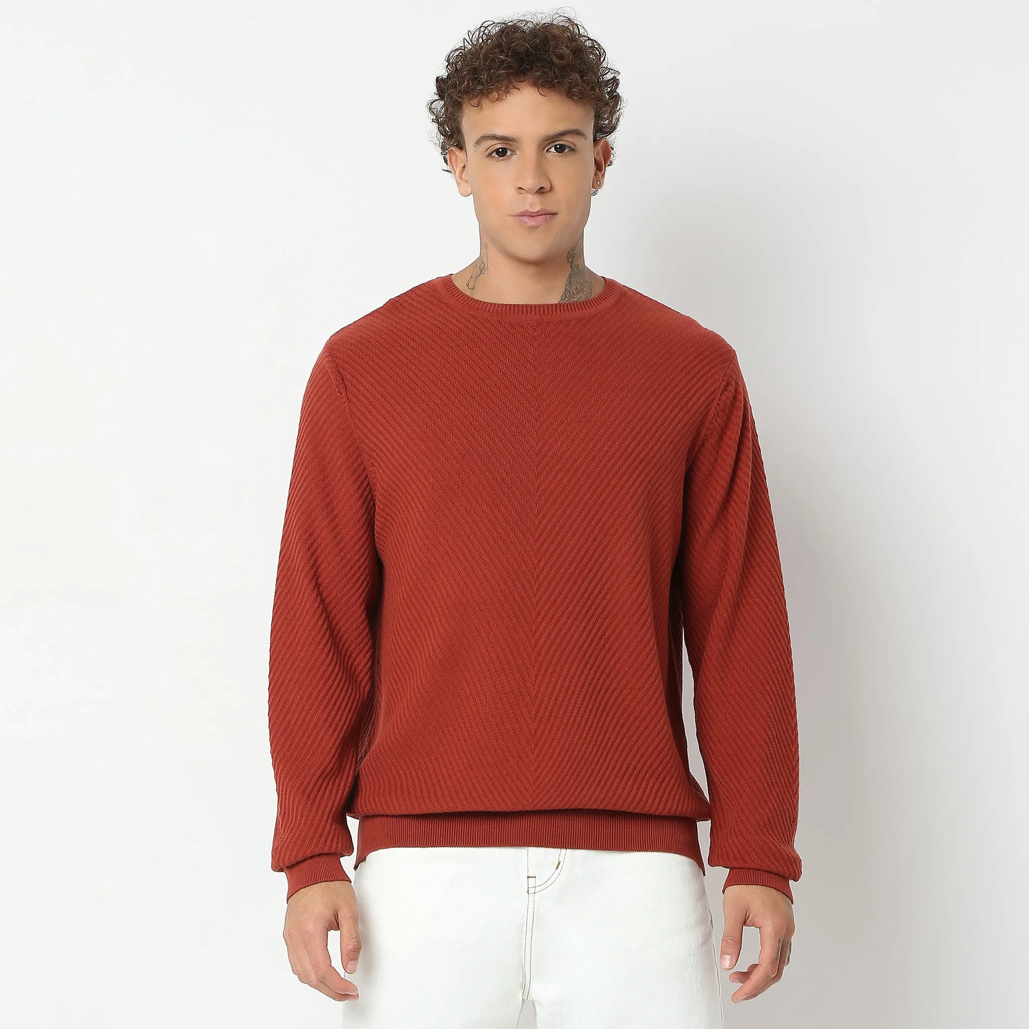 Regular Fit Structured Flat Knit Sweater