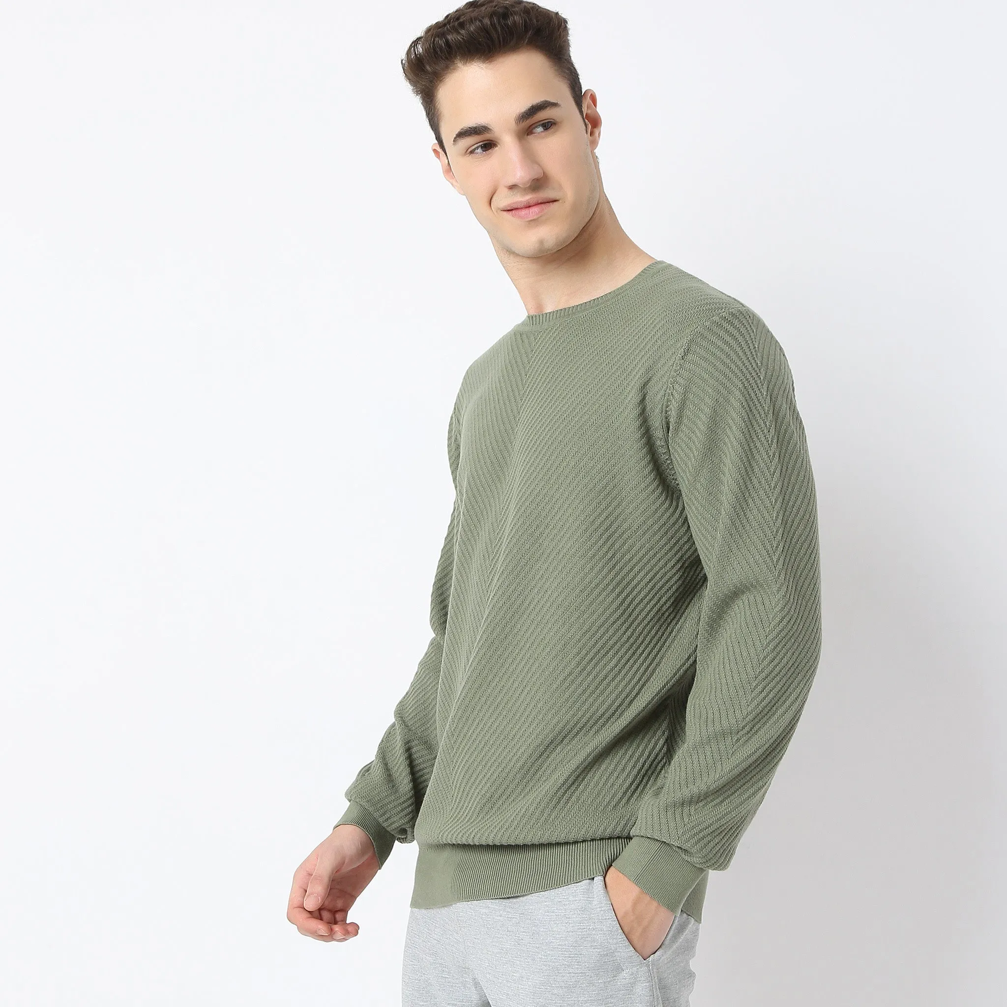 Regular Fit Structured Flat Knit Sweater